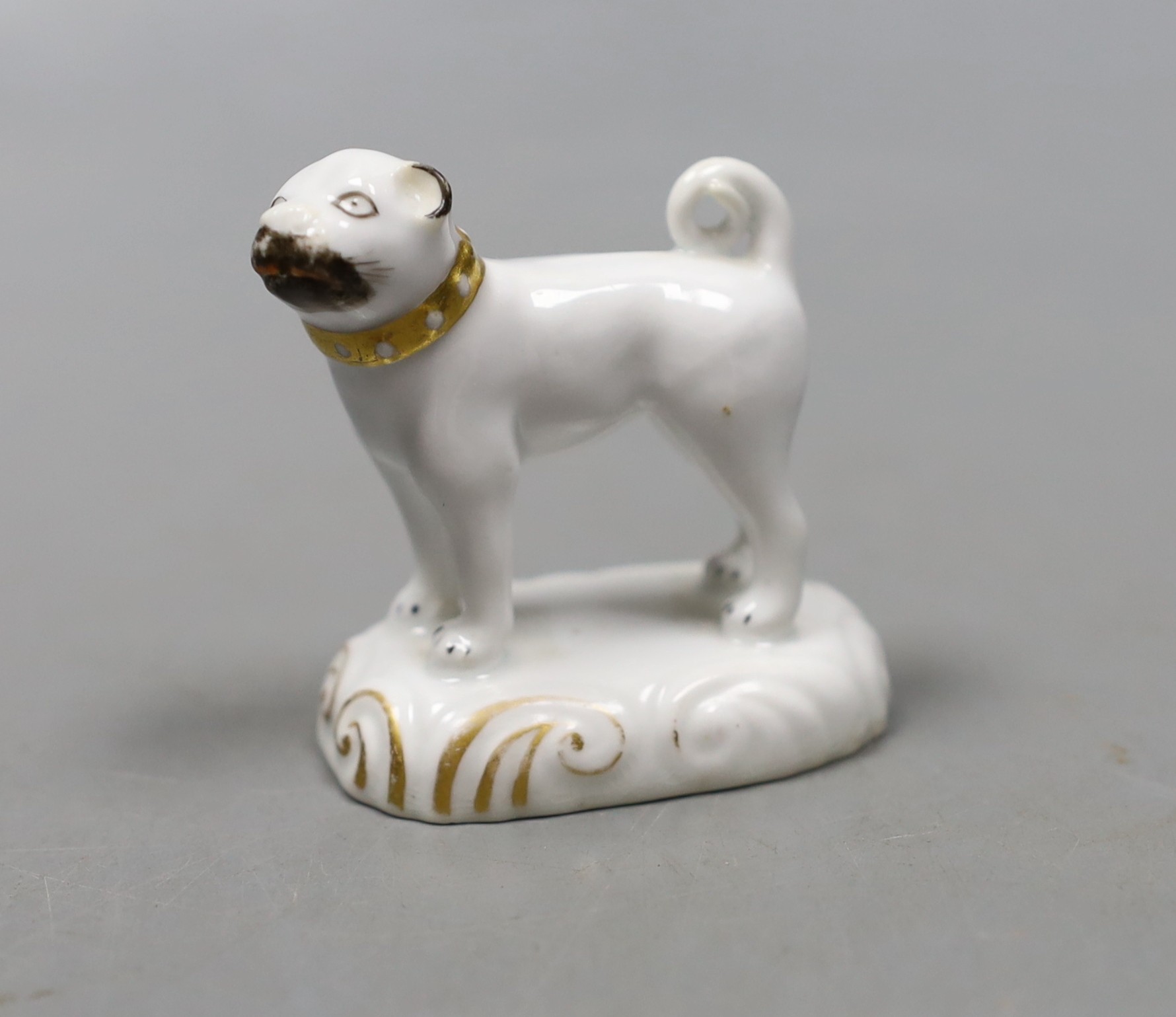 A rare Staffordshire porcelain model of a standing pug, c.1830–50, on a scroll moulded base, Provenance- Dennis G Rice collection